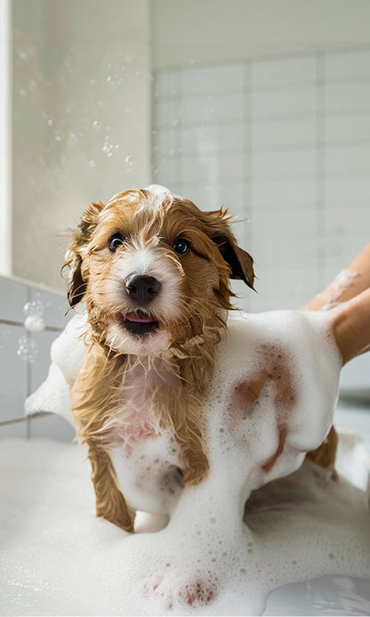 Pet Shampoo | Soothing & Deodorizing