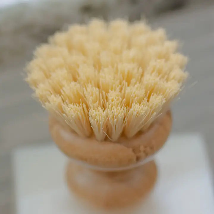 Casa Agave® Dish Washing Brush