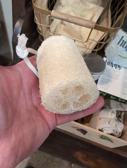 Loofa Sponge