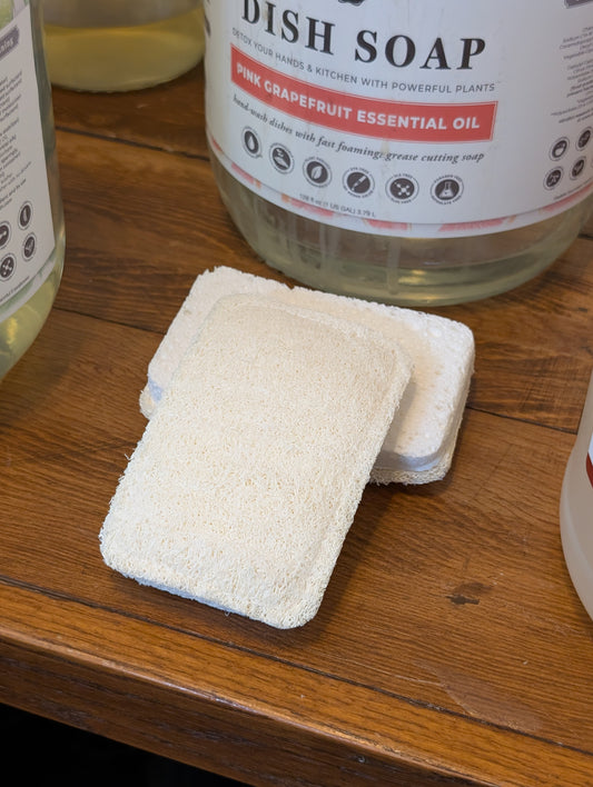 Dish Sponge
